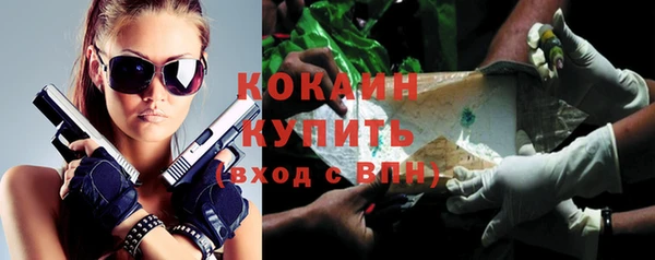 спайс Арсеньев
