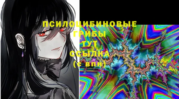 метадон Армянск