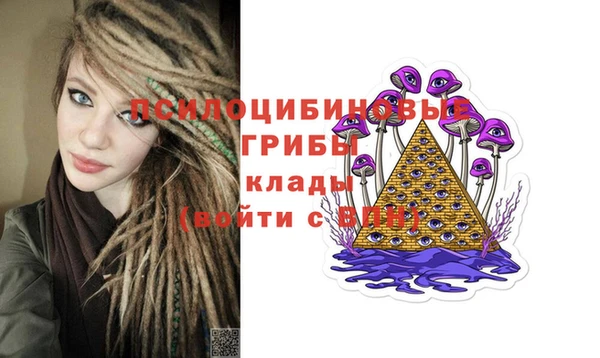 спайс Арсеньев