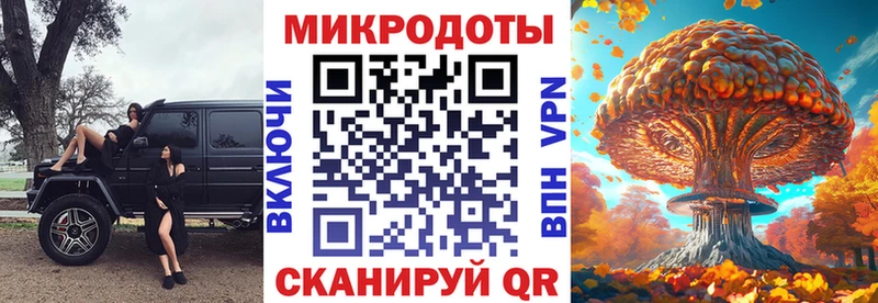 Псилоцибиновые грибы Cubensis Белорецк